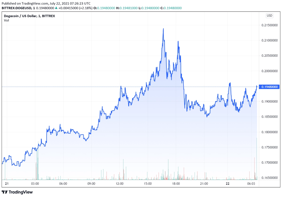 dogeusd