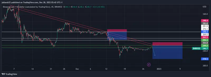 precio de binance coin frente al dolar bnbusd en una zona clave de resistencia pronostico grafika numer 1