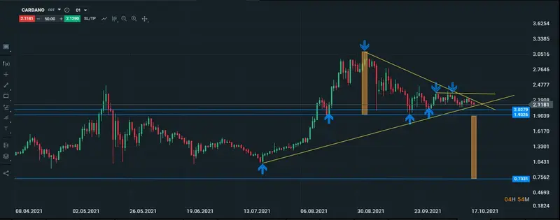 cardano diario