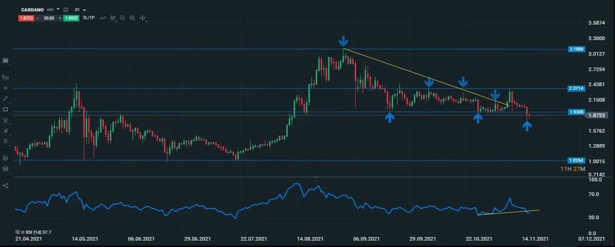 cardano diario 