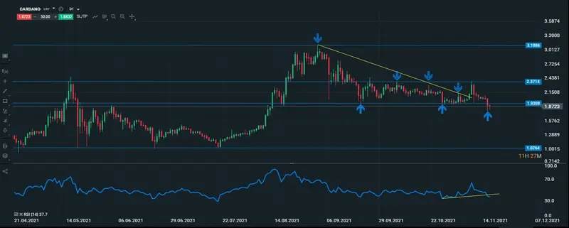 cardano diario 