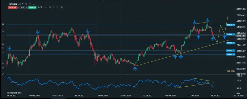 btc diario