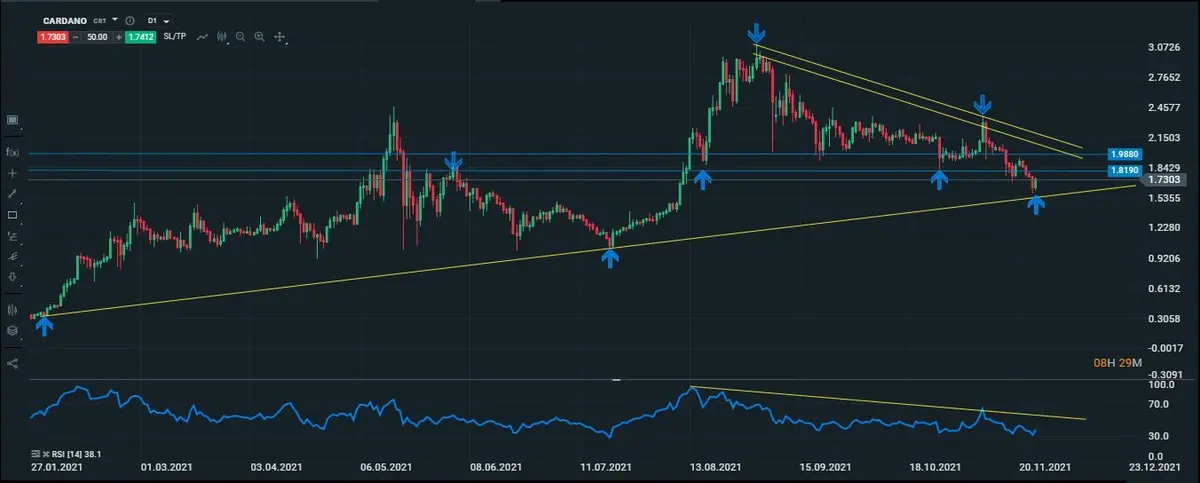 cardano diario