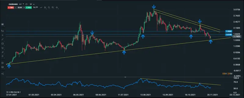 cardano diario