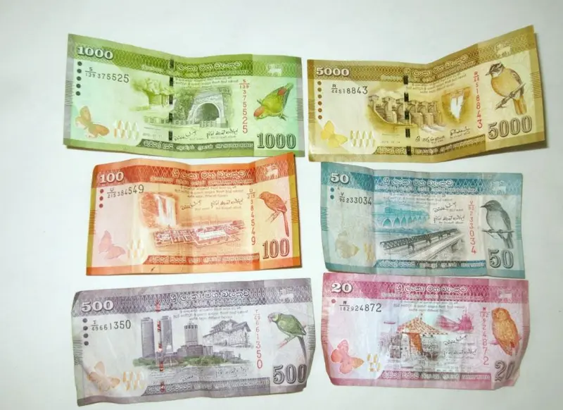 la rupia esliria un vinculo monetario con historia que moneda es mejor para llevar a sri lanka y que es lkr grafika numer 1