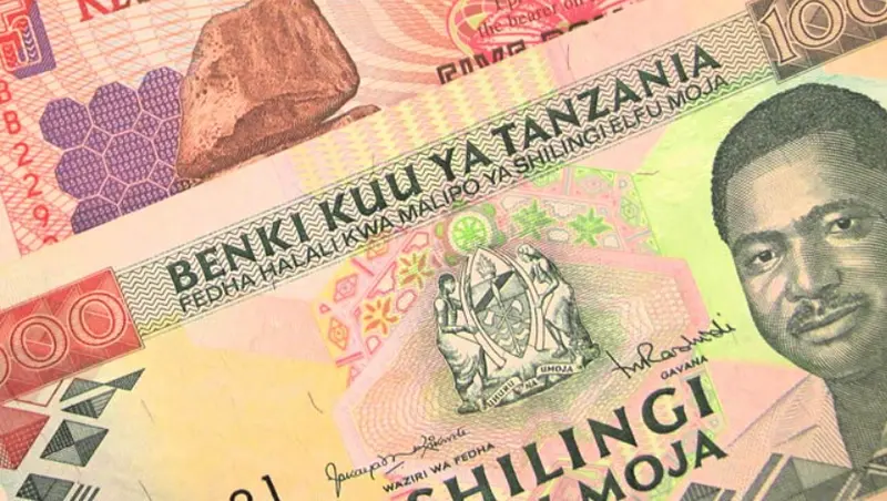 descubre el valor del shilling tanzano todo lo que necesitas saber para tu viaje a tanzania grafika numer 2