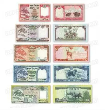 rupia nepali npr cual es la moneda oficial de nepal billetes y monedas esta es su historia grafika numer 3