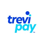 trevipay presenta una solucion de pagos todo en uno para aceptar terminos de pago neto y pagos con tarjeta al finalizar la compra grafika numer 1