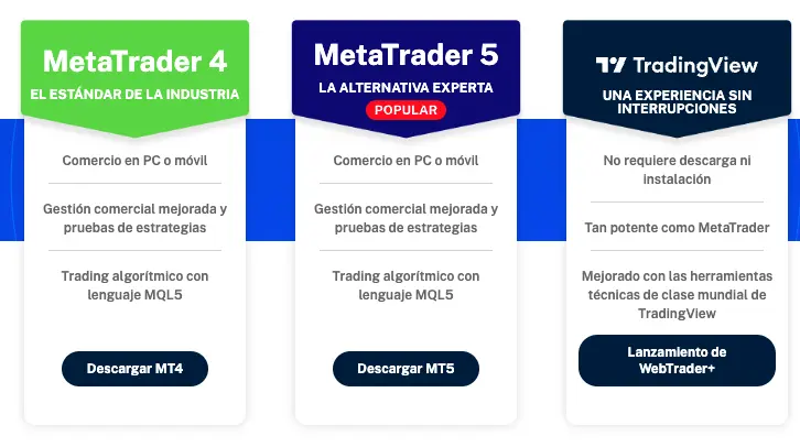 vt markets vale la pena abrir una cuenta con este broker analisis y revision de la oferta costos comisiones y servicios completos grafika numer 6