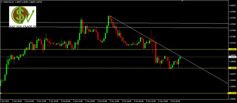 USDCAD: posicionamiento bajista - 9.09.2023 - 1