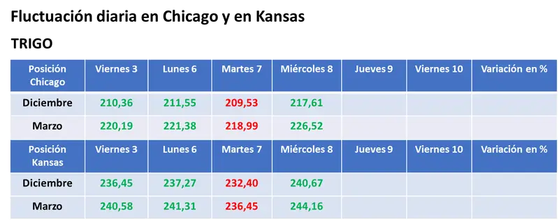 Importante mejora del valor del trigo en el mercado estadounidense - 3