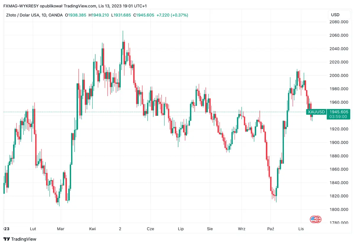 Precio del petróleo y el precio del oro en 2024. El polémico banco predice un boom de las materias primas - 4