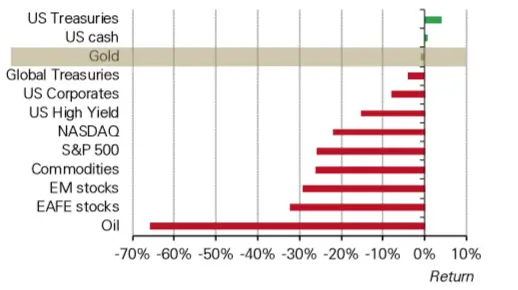 El oro, a pesar de la caíde de marzo, este año está relativamente bien posicionado en compración con los demás activos. La tasa de rendimiento desde los inicios del año 2020. Fuente: WGC