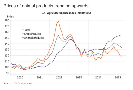czech economy shows domestic resilience amid weak eurozone demand grafika numer 2