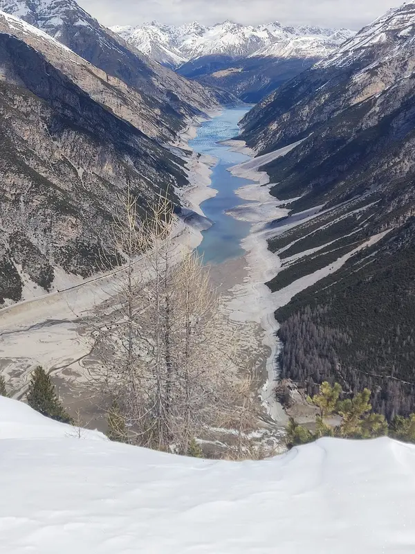 Cada vez hay más problemas con el suministro de esta materia prima. Es difícil invertir en ella, pero te sugerimos cómo hacerlo - 1