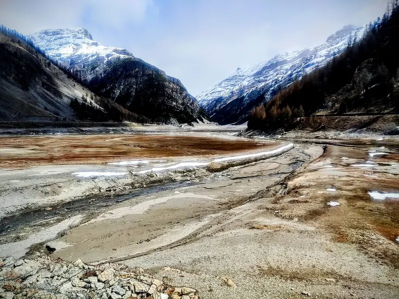 Cada vez hay más problemas con el suministro de esta materia prima. Es difícil invertir en ella, pero te sugerimos cómo hacerlo - 2