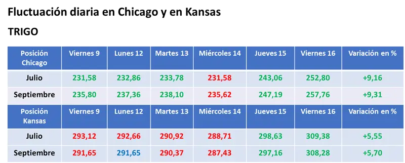 Se consolidó la suba del valor de la soja y del maíz en el mercado estadounidense por la falta de humedad en las zonas productoras clave - 3