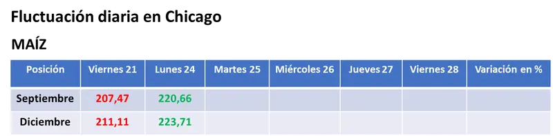 Ataques rusos sobre instalaciones de Ucrania sobre el río Danubio provocaron fuertes subas para los precios del trigo y del maíz - 2