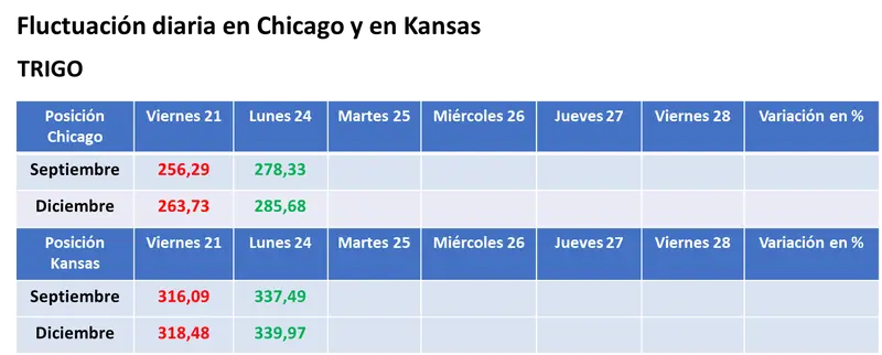 Ataques rusos sobre instalaciones de Ucrania sobre el río Danubio provocaron fuertes subas para los precios del trigo y del maíz - 3