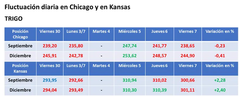 Bajas generales para los precios de los granos en el mercado estadounidense por mejores perspectivas para los cultivos - 3