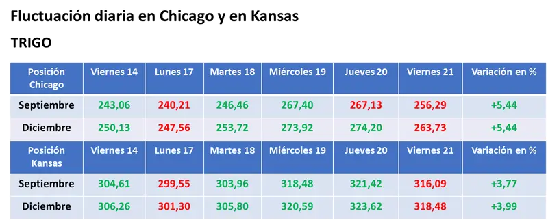 Jornada con toma de ganancias y bajas para los precios del trigo y del maíz en el mercado estadounidense, mientras Erdoğan apuesta por la vuelta de Rusia al acuerdo de granos - 3