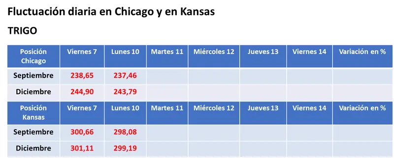Jornada sin lluvias y con precios en alza para la soja y el maíz en el mercado estadounidense de granos - 3