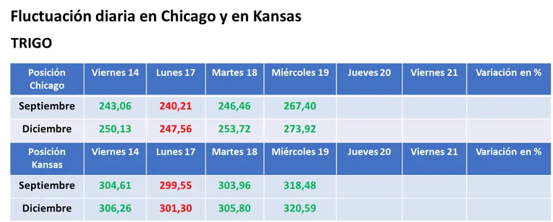 Nuevos ataques rusos sobre puertos de Ucrania provocaron fuertes subas para los precios del trigo en el mercado estadounidense - 3
