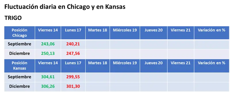 Pese al retiro de Rusia del acuerdo de granos, bajaron los precios del trigo y del maíz en el mercado estadounidense - 3