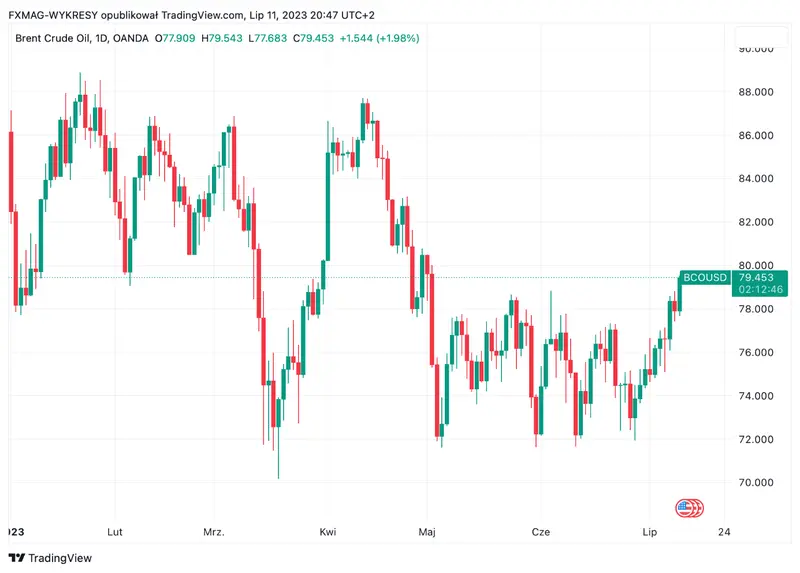 Precio del Petróleo Crudo - ¿Veremos subidas? ¡Estos factores afectarán el precio del oro negro! - 1