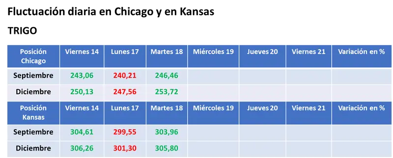 Precios en alza para el maíz y para el trigo en el mercado estadounidense en la primera jornada sin acuerdo para las exportaciones de Ucrania - 3