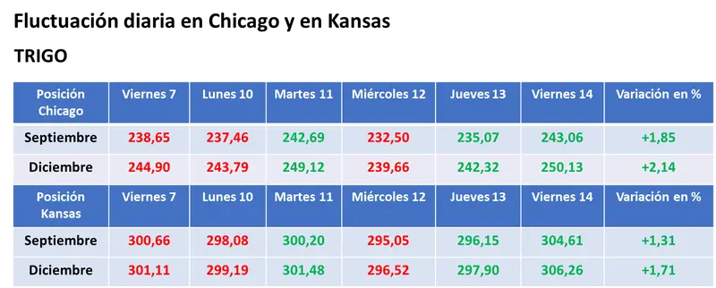 Semana con balance positivo para el valor de los granos, entre la falta de humedad y la chance de que no se renuevo el acuerdo de granos en la zona del Mar Negro - 3