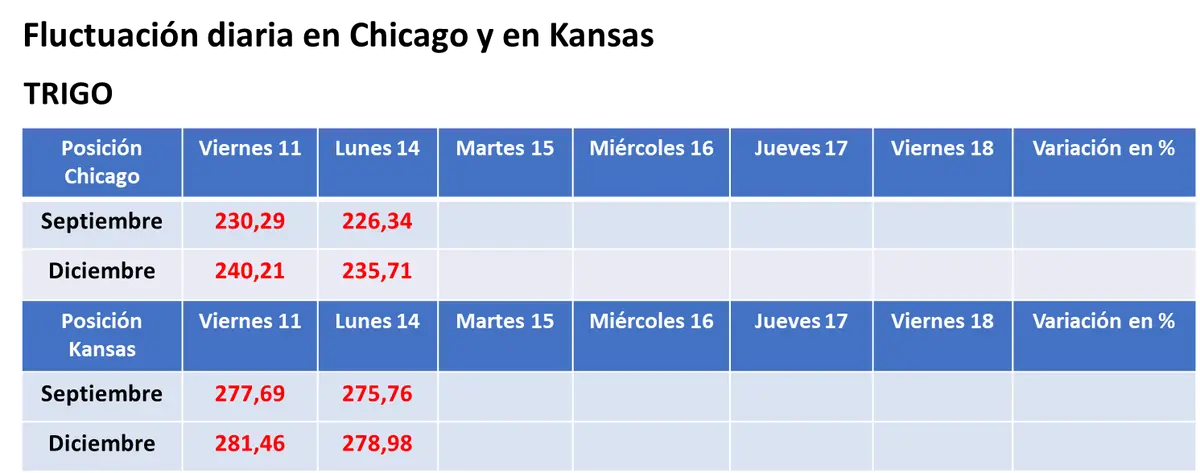 El trigo prolongó su tónica bajista en los mercados, mientras que la soja logró un repunte parcial en Chicago - 3