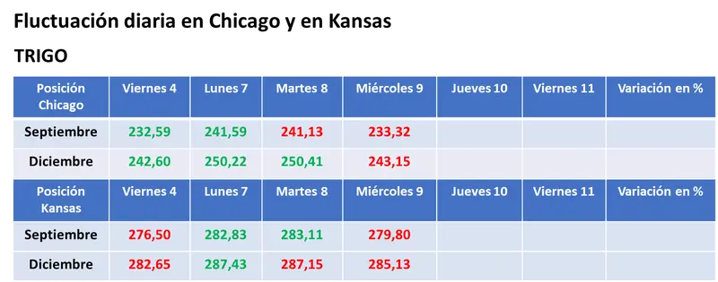 La calma relativa en la zona del Mar Negro provocó bajas para los precios del trigo en el mercado estadounidense de granos - 3
