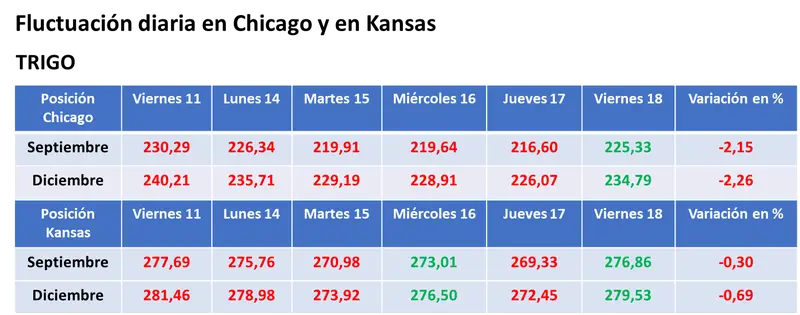 La falta de humedad en zonas productoras de EE.UU. posibilitó la suba de los precios en Chicago - 3