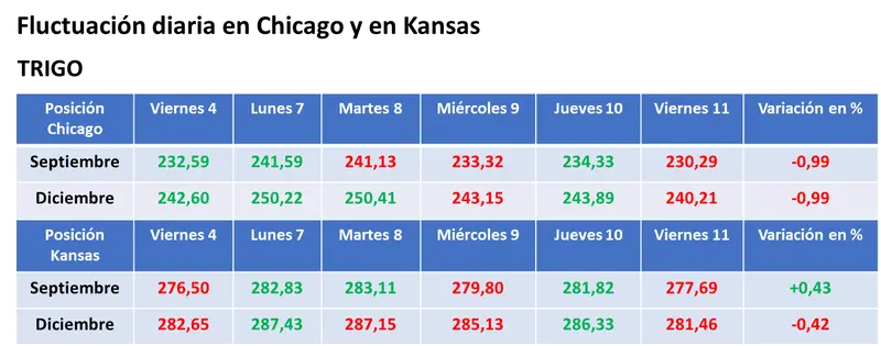 Los ajustes a las cosechas de granos gruesos estadounidenses hechos por el USDA no lograron evitar nuevas bajas para los precios del maíz y de la soja - 3