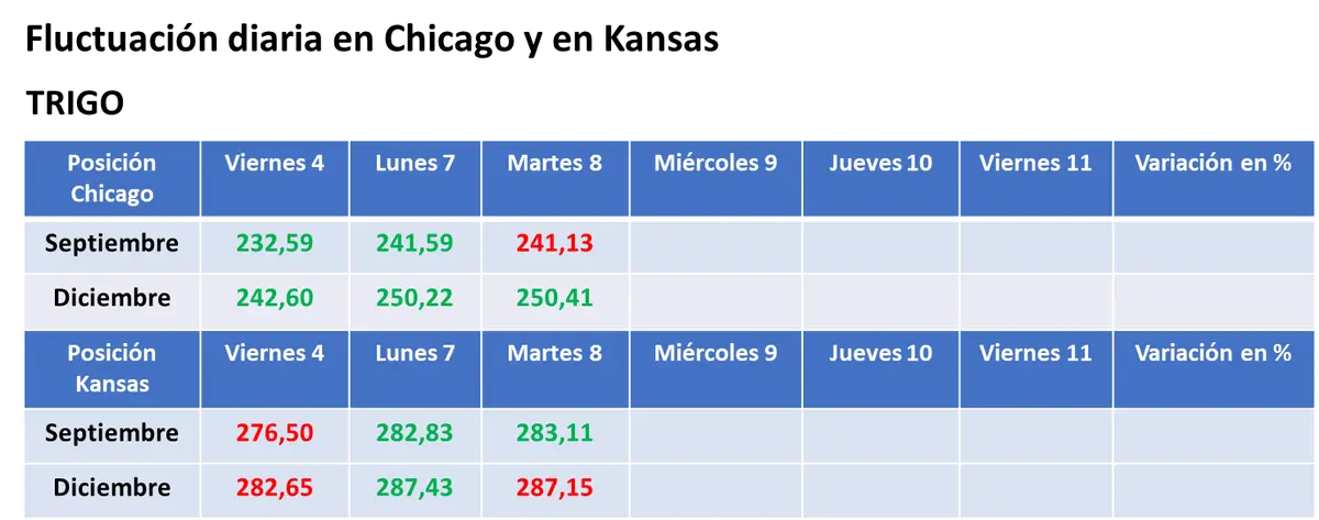 Los fondos de inversión comenzaron a posicionarse en el mercado de granos frente al informe de estimaciones que el USDA publicará el viernes - 3