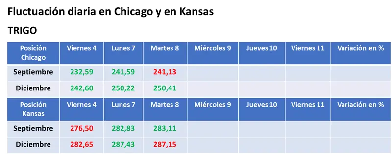 Los fondos de inversión comenzaron a posicionarse en el mercado de granos frente al informe de estimaciones que el USDA publicará el viernes - 3