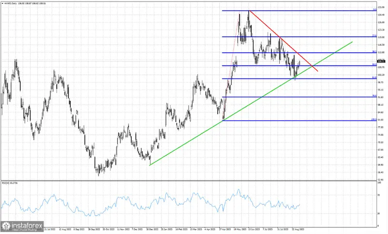 Acciones AMD: Lucha por la supremacía en medio de tensiones en las líneas de soporte y resistencia - 1