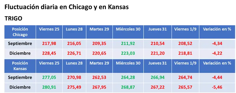 El anuncio del cónclave entre Putin y Erdoğan el lunes condujo a la baja a los precios del trigo en EE.UU. y en la UE - 3