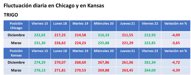 Ligeras subas para los granos en Estados Unidos por la chance de que las lluvias ralenticen la cosecha de soja y de maíz - 3