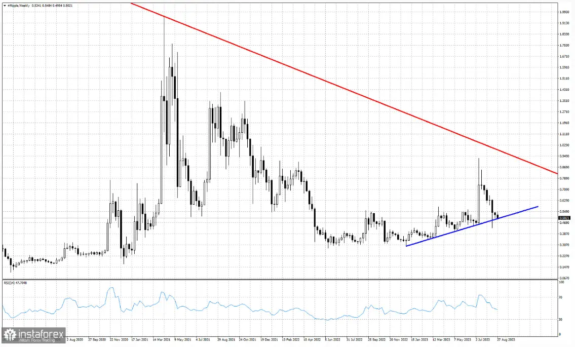 XRPUSD a 0.50 dólares: ¿Resistencia o resurgimiento? Análisis de tendencia y perspectivas de precio - 1