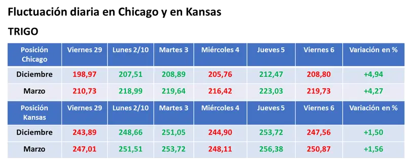 El avance de la cosecha estadounidense y la devaluación del real frente al dólar provocaron la caída de los precios de la soja y del maíz - 3