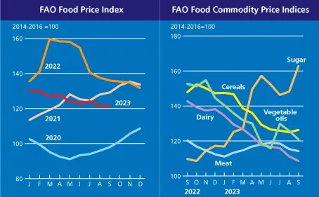 Precio del trigo 2024: ¡mira lo que anuncia el gran banco! Caídas dinámicas de los precios de los alimentos - 2