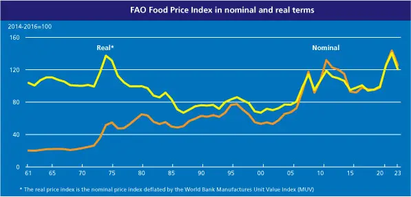 Precio del trigo 2024: ¡mira lo que anuncia el gran banco! Caídas dinámicas de los precios de los alimentos - 3
