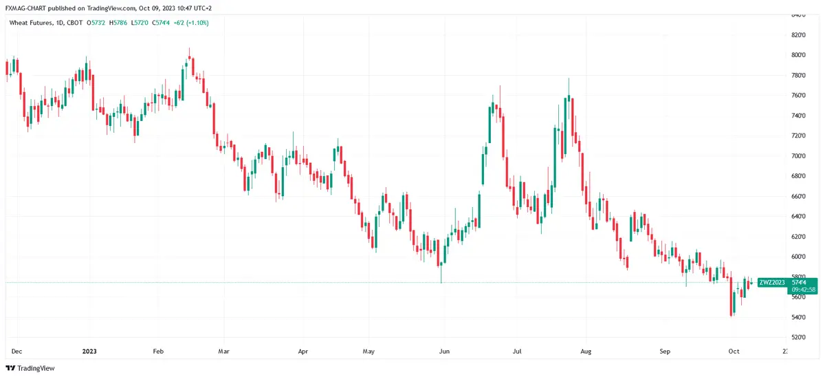 Precio del trigo 2024: ¡mira lo que anuncia el gran banco! Caídas dinámicas de los precios de los alimentos - 4
