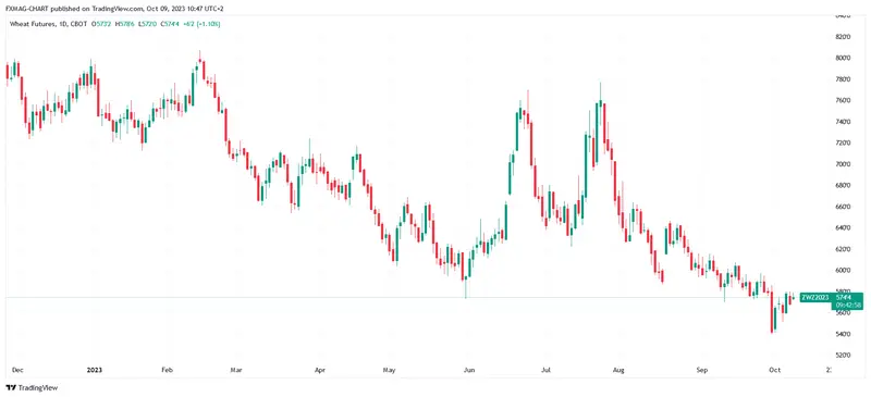 Precio del trigo 2024: ¡mira lo que anuncia el gran banco! Caídas dinámicas de los precios de los alimentos - 4