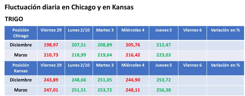 Tras un nuevo ataque ruso sobre población civil en Ucrania, repuntaron los precios del trigo y del maíz en el mercado estadounidense - 3