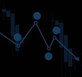 Komodo (KMD): ¿qué necesitas saber al respecto? Descripción de la criptomoneda, historia, citas, opiniones - 1