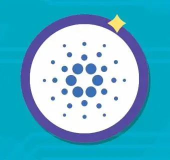 Stratis (STRAT): lo que necesitas saber al respecto. Descripción, historia, citas, opiniones sobre criptomonedas - 1