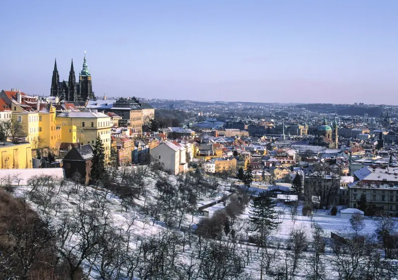 Un buen regalo de Navidad: qué regalo comprar para que sea de utilidad - 6